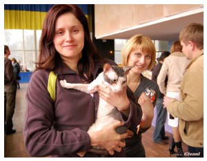 Cats Shows Photo • Выставки кошек - Cats Show • March, 2010 • Донецк - 641