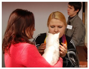 Cats Shows Photo • Выставки кошек - Cats Show • March, 2010 • Донецк - 507