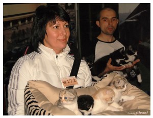 Cats Shows Photo • Выставки кошек - Cats Show • March, 2010 • Донецк - 367