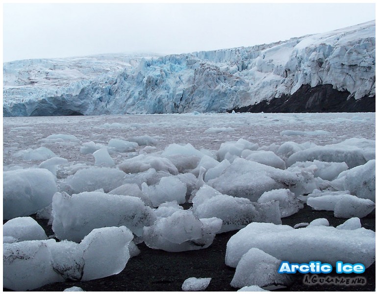 Nature • Природа - Arctic Ice • Арктика - Arctic_Ice_006