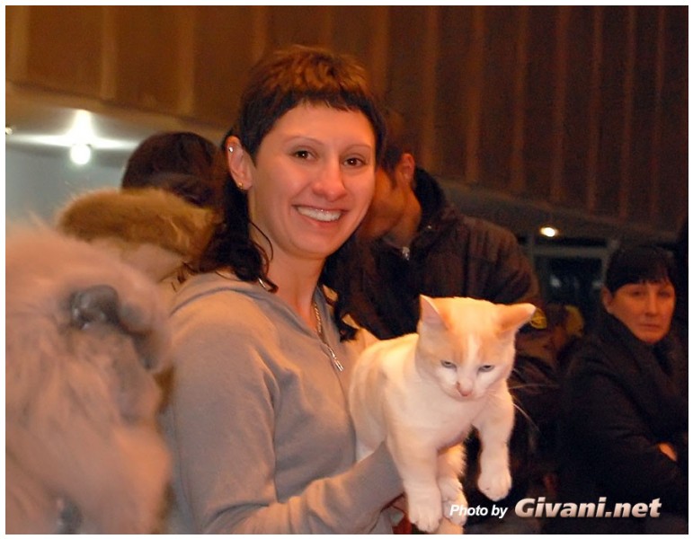 Cats Shows Photo • Выставки кошек - Cats Show • December, 2009 • Донецк - 06