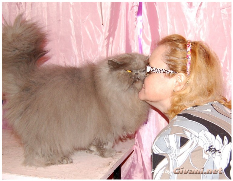 Cats Shows Photo • Выставки кошек - Cats Show • December, 2009 • Донецк - 33