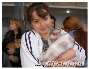 Cats Shows Photo • Выставки кошек - Cats Show • December, 2009 • Донецк - 42