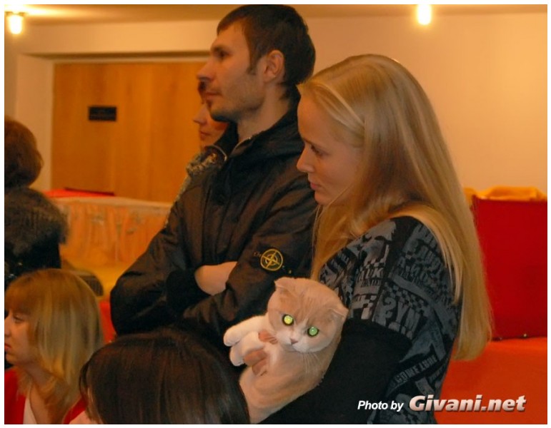 Cats Shows Photo • Выставки кошек - Cats Show • December, 2009 • Донецк - 25