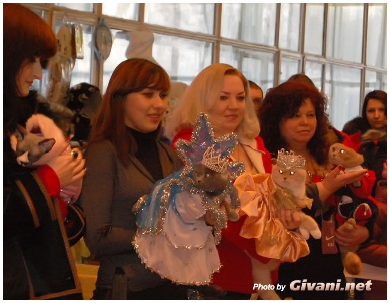 Cats Shows Photo • Выставки кошек - Cats Show • December, 2009 • Донецк - 21