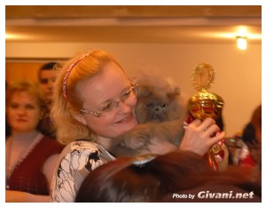 Cats Shows Photo • Выставки кошек - Cats Show • December, 2009 • Донецк - 27