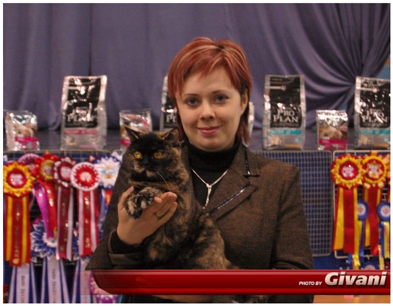 Cats Shows Photo • Выставки кошек - Cats Show • February, 2010 • Донецк - 040