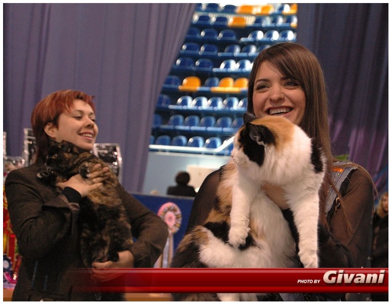 Cats Shows Photo • Выставки кошек - Cats Show • February, 2010 • Донецк - 041