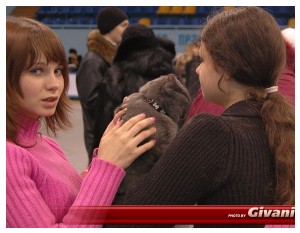 Cats Shows Photo • Выставки кошек - Cats Show • February, 2010 • Донецк - 088