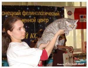 Cats Shows Photo • Выставки кошек - Cats Show • October, 2009 • Кубок Hill's - 10