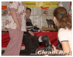 Cats Shows Photo • Выставки кошек - Cats Show • September, 2009 • Донецк - 076
