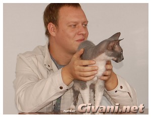 Cats Shows Photo • Выставки кошек - Cats Show • September, 2009 • Донецк - 027