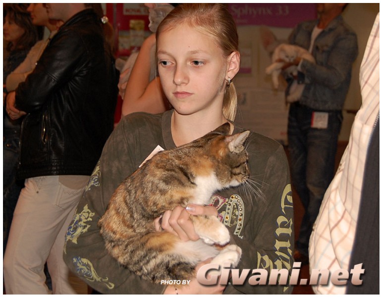 Cats Shows Photo • Выставки кошек - Cats Show • September, 2009 • Донецк - 011