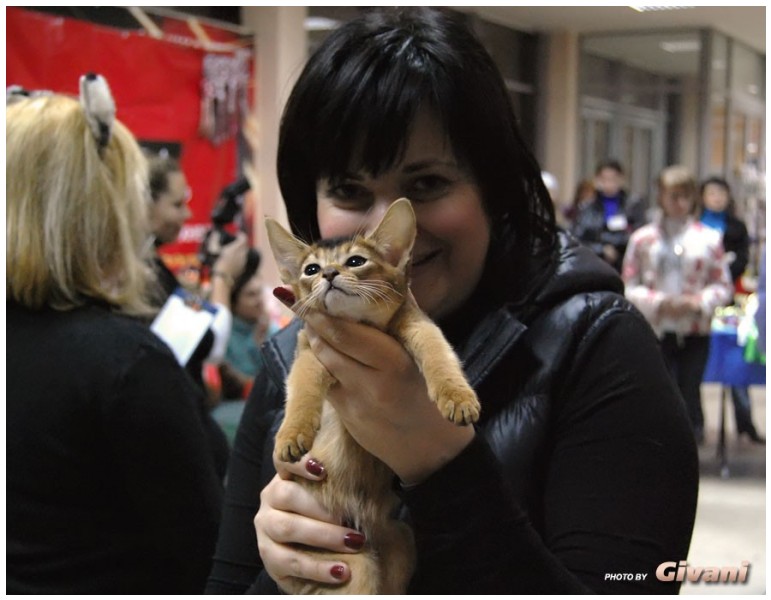 Cats Shows Photo • Выставки кошек - Cats Show • October, 2010 • Донецк - 034