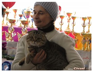Cats Shows Photo • Выставки кошек - Cats Show • February, 2011 • Донецк - 033