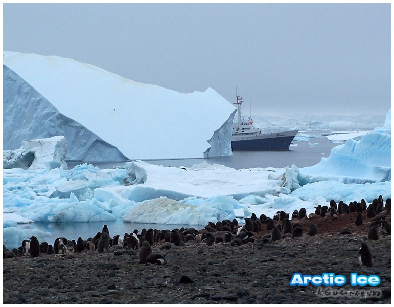 Nature • Природа - Arctic Ice • Арктика - Arctic_Ice_041
