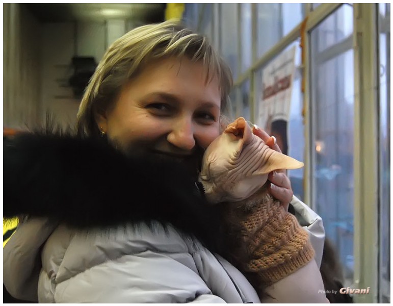 Cats Shows Photo • Выставки кошек - November, 2011 • Кубок Hill's • Донецк - Love is...