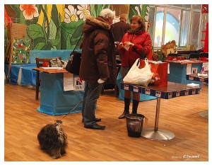 Cats Shows Photo • Выставки кошек - November, 2011 • Кубок Hill's • Донецк - 36
