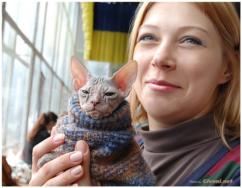 Cats Shows Photo • Выставки кошек - Cats Show • April, 2012 • Донецк - 11