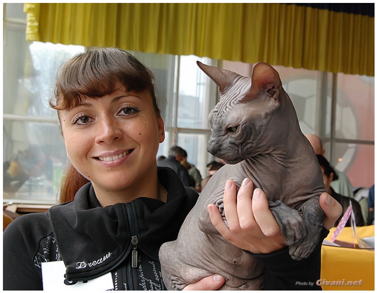 Cats Shows Photo • Выставки кошек - Cats Show • April, 2012 • Донецк - 19