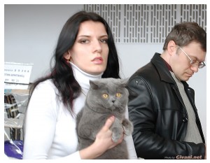 Cats Shows Photo • Выставки кошек - Cats Show • April, 2012 • Донецк - 59