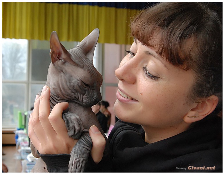 Cats Shows Photo • Выставки кошек - Cats Show • April, 2012 • Донецк - 20