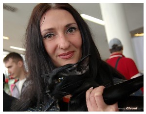 Cats Shows Photo • Выставки кошек - May, 2012 • Ласковый зверь • Луганск - 12