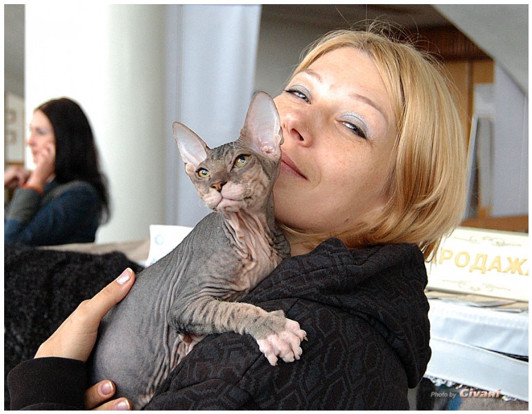 Cats Shows Photo • Выставки кошек - May, 2012 • Ласковый зверь • Луганск - 39