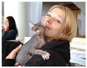 Cats Shows Photo • Выставки кошек - May, 2012 • Ласковый зверь • Луганск - 39