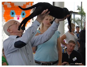 Cats Shows Photo • Выставки кошек - May, 2012 • Ласковый зверь • Луганск - 47