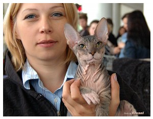 Cats Shows Photo • Выставки кошек - May, 2012 • Ласковый зверь • Луганск - 42
