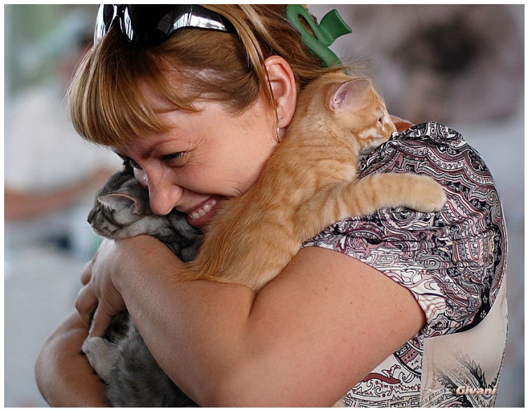 Cats Shows Photo • Выставки кошек - June, 2012 • Чеширский кот • Одесса - 040