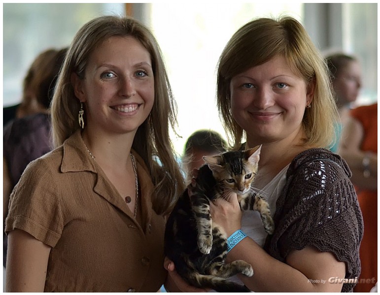 Cats Shows Photo • Выставки кошек - September, 2012 • Кубок Hill's • Донецк - 016