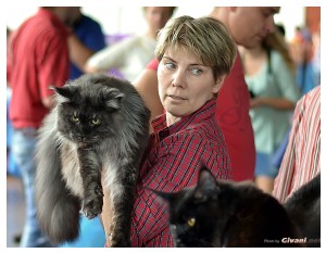 Cats Shows Photo • Выставки кошек - September, 2012 • Кубок Hill's • Донецк - 039