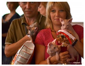 Cats Shows Photo • Выставки кошек - September, 2012 • Кубок Hill's • Донецк - 060