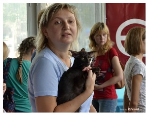 Cats Shows Photo • Выставки кошек - September, 2012 • Кубок Hill's • Донецк - 020
