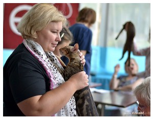 Cats Shows Photo • Выставки кошек - September, 2012 • Кубок Hill's • Донецк - 024
