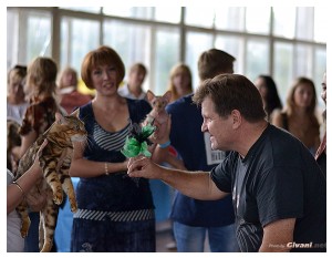 Cats Shows Photo • Выставки кошек - September, 2012 • Кубок Hill's • Донецк - 038