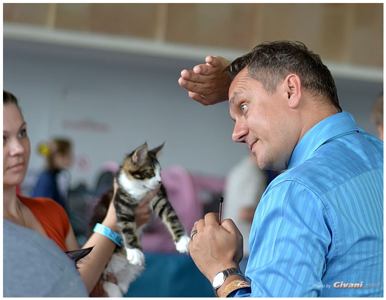 Cats Shows Photo • Выставки кошек - September, 2012 • Кубок Hill's • Донецк - 042