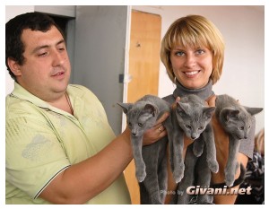 Cats Shows Photo • Выставки кошек - Cats Show • September, 2010 • Донецк - 067