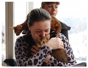 Givani.net - Love is... - Nadezhda Hrapovitska and her cats