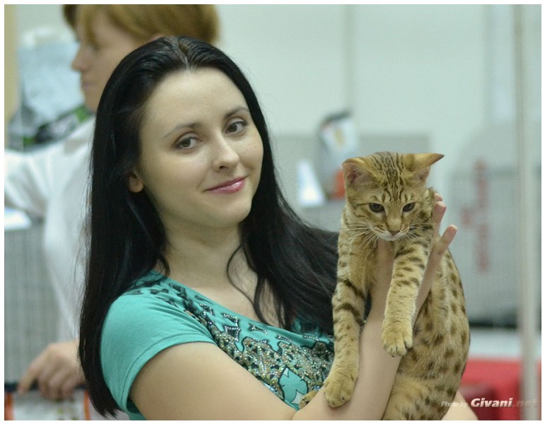 Cats Shows Photo • Выставки кошек - Cats Show • June, 2013 • Donetsk - 52