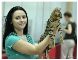 Cats Shows Photo • Выставки кошек - Cats Show • June, 2013 • Donetsk - 55