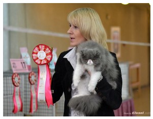 Cats Shows Photo • Выставки кошек - Cats Show • April, 2013 • Kiev - 108
