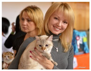 Cats Shows Photo • Выставки кошек - Cats Show • October, 2013 • Донецк - 13
