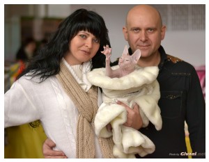 Cats Shows Photo • Выставки кошек - Cats Show • December, 2013 • Донецк - 09