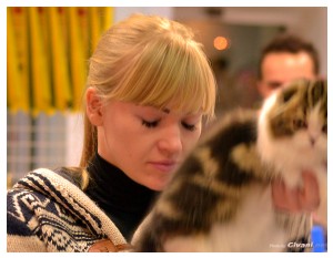 Cats Shows Photo • Выставки кошек - December, 2013 • Чеширский кот • Одесса - 27