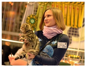 Cats Shows Photo • Выставки кошек - December, 2013 • Чеширский кот • Одесса - 35