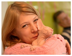 Cats Shows Photo • Выставки кошек - January, 2014 • Winners' Show • Харьков - 14