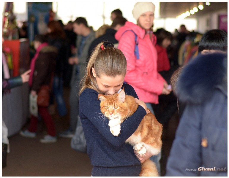 Cats Shows Photo • Выставки кошек - Cats Show • April, 2014 • Донецк - 12